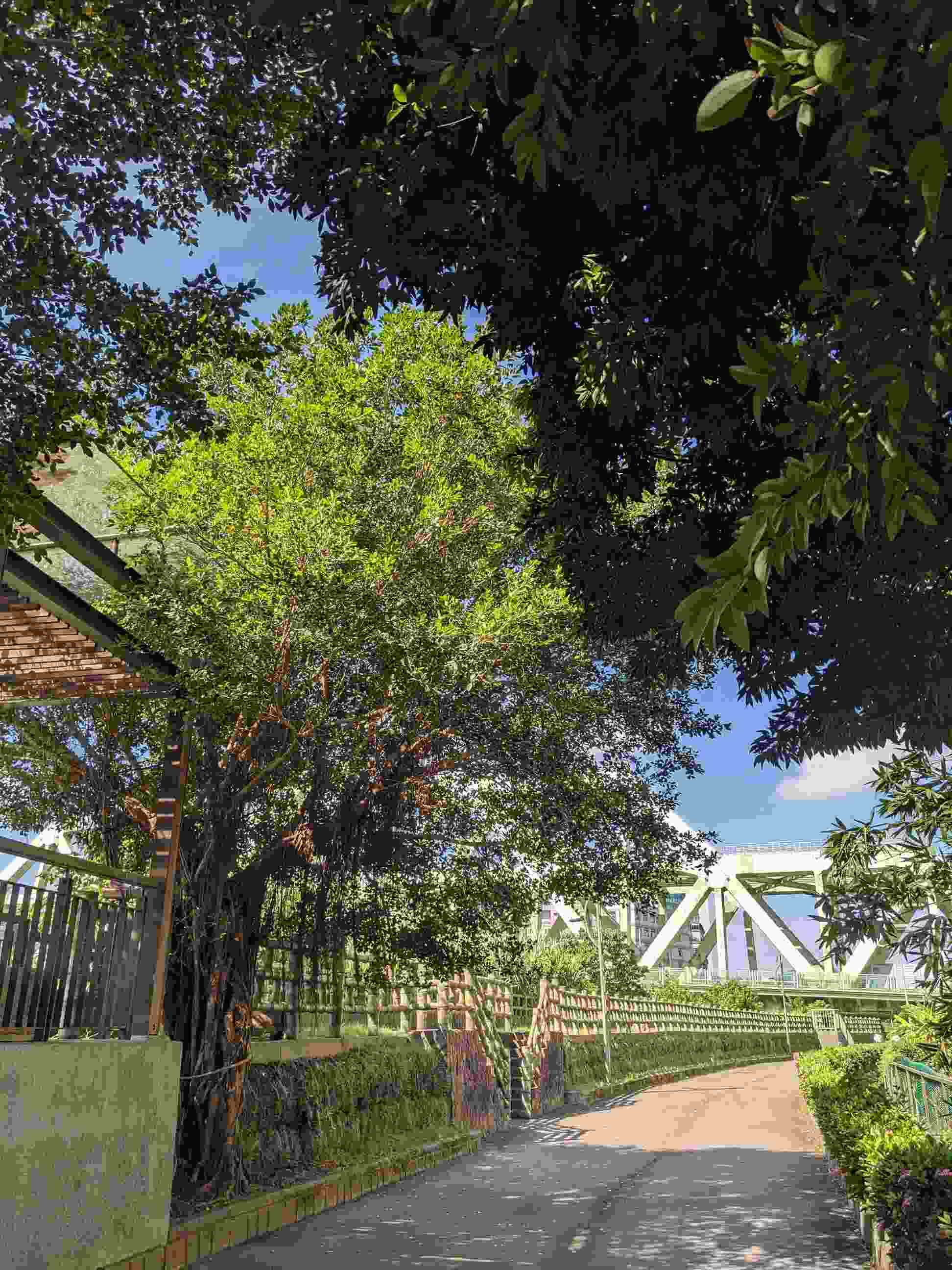 (這個社會對精神疾病的想像是多麼扁平啊。在網路上罵髒話的是精神病,在新聞裡砍殺前女友的是精神病──無須診斷,社會自會診斷。——林奕含)